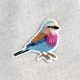 S ECUSSON OISEAU