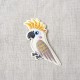 M ECUSSON OISEAUX EXOTIQU