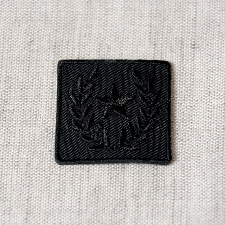 S ECUSSON BADGE ETOILE LA