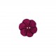 BOUTON FLEUR COCO PM*6