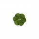 BOUTON FLEUR COCO PM*6