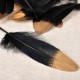 PLUME *10
