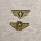 S ECUSSON ARMEE DE L'AIR