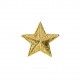 ETOILE PLEINE GM D