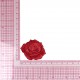 S ECUSSON ROSE