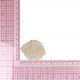 S ECUSSON ROSE