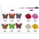 S ECUSSON PAPILLON