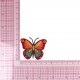 S ECUSSON PAPILLON