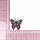 S ECUSSON PAPILLON