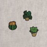 S ECUSSON PLANTES