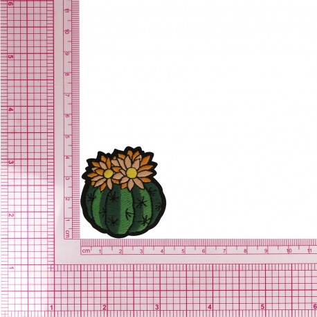 S ECUSSON PLANTES