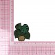 S ECUSSON PLANTES