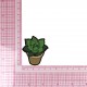 S ECUSSON PLANTES