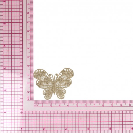S ECUSSON PAPILLON DENTELLE