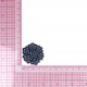 S ECUSSON ROSE DENTELLE