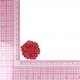 S ECUSSON ROSE DENTELLE