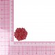 S ECUSSON ROSE DENTELLE
