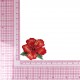 M ECUSSON BELLES FLEURS