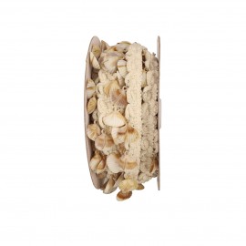 GALON FRANGE COQUILLAGES