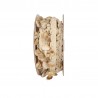 GALON FRANGE COQUILLAGES