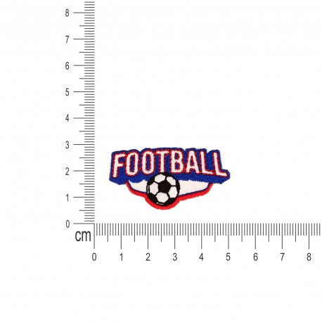 S ECUSSON THEME FOOT